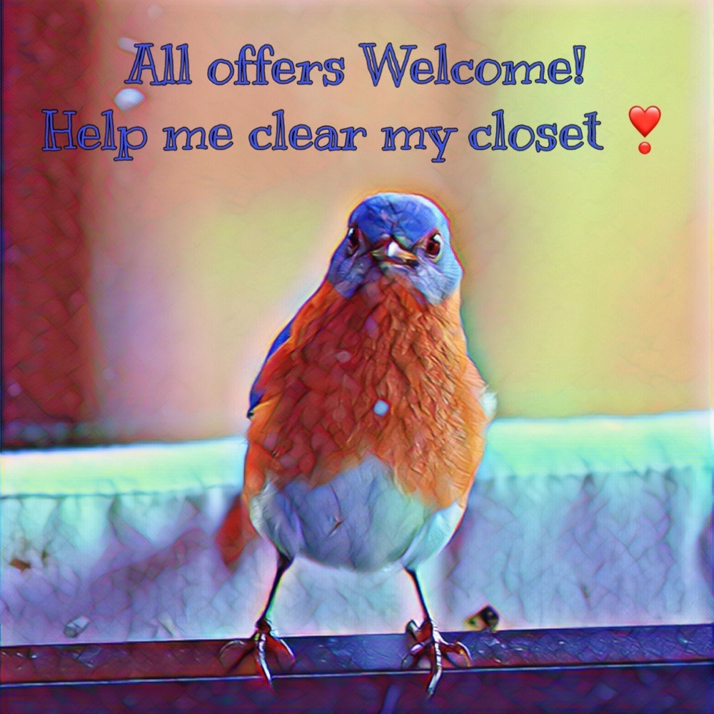 Meet your Posher, Lili ❤️